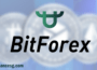 BitForex